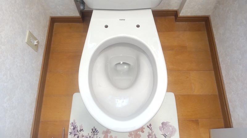 便座とプレートが外れた便器